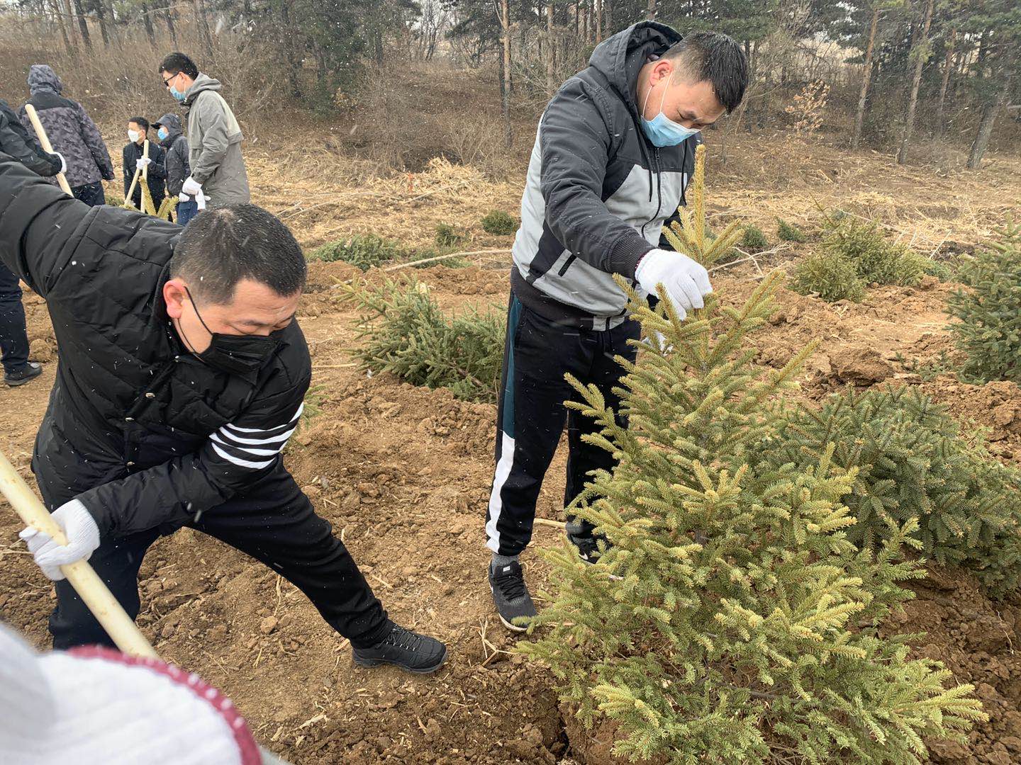 Z6·尊龙凯时「中国」官方网站